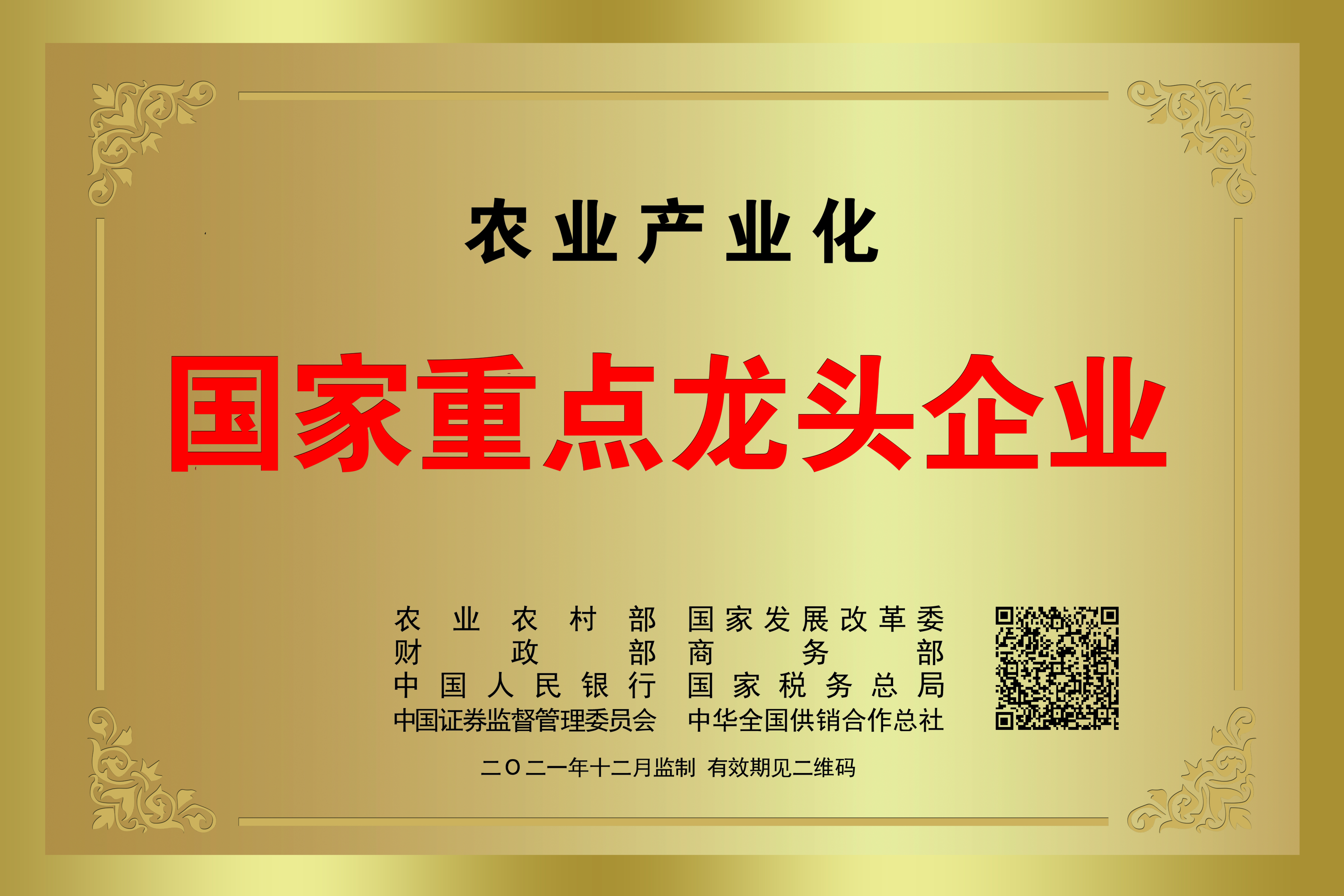 國家重點龍頭企業(yè)